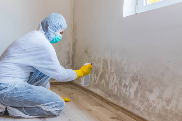 Licensed Mold Remediation service in Glen Gardner, NJ - 24 Hour Mold Removal