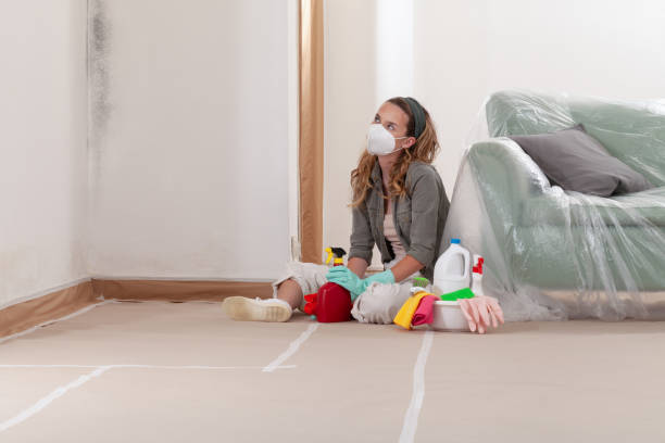 Reliable Mold Remediation contractor in Glen Gardner, NJ by 24 Hour Mold Removal