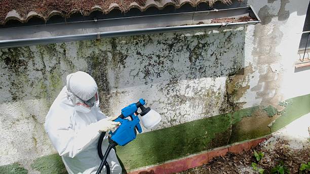 Top rated local Mold Remediation specialists in Glen Gardner, NJ
